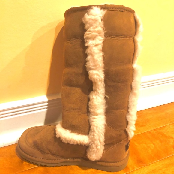 Ugg Suede and Shearling-Lined Boots with Trim - Picture 4 of 8